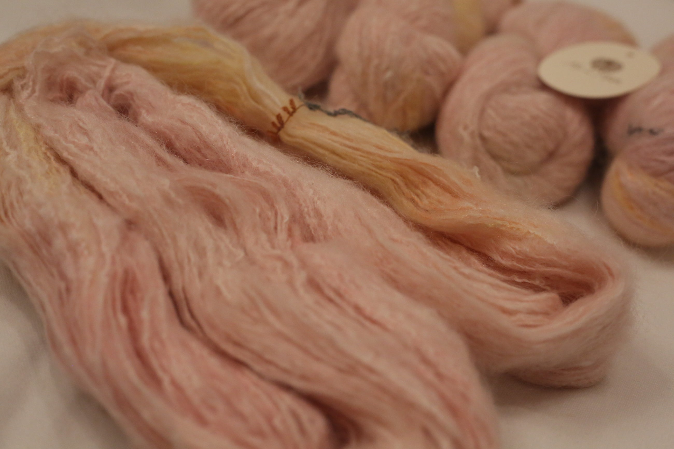 Cotton Candy | Millet Blossoms